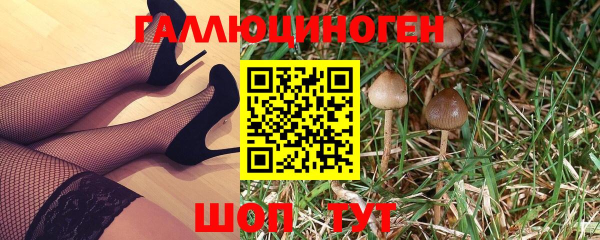 Псилоцибиновые грибы MAGIC MUSHROOMS  Вход с VPN  Озёрск 